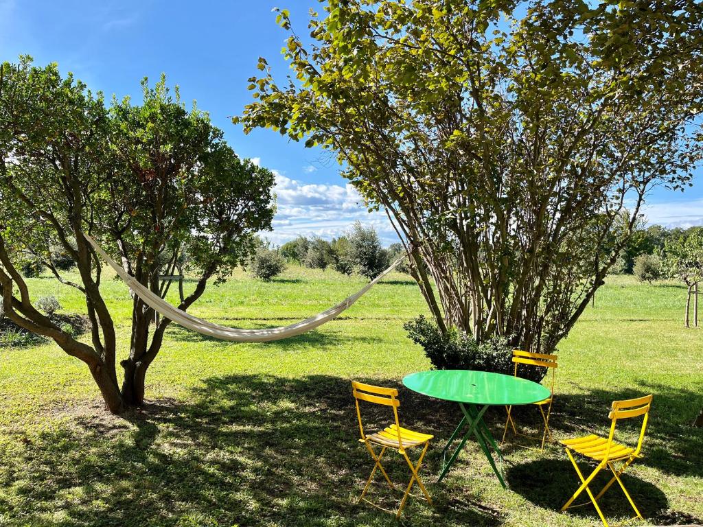 two chairs and a green table in a field at Le Mas Saint Jacques in Le Pontet