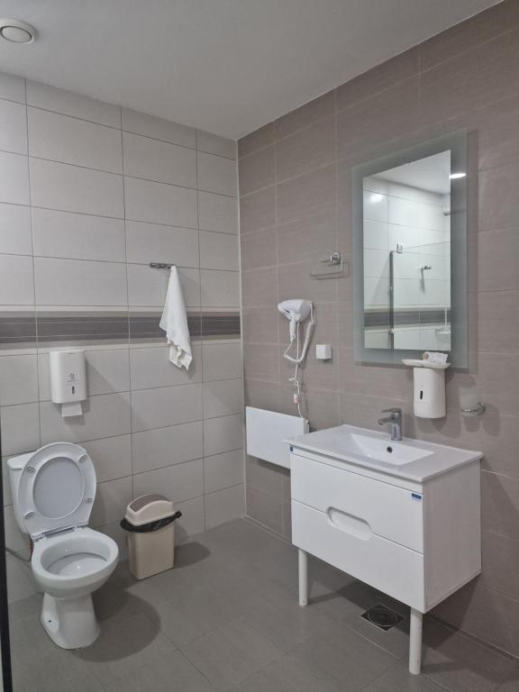 een badkamer met een toilet, een wastafel en een spiegel bij VILIN in Niš