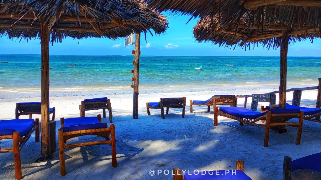 uma praia com cadeiras e guarda-sóis e o oceano em Polly Lodge Bungalow Zanzibar Kiwengwa em Kiwengwa