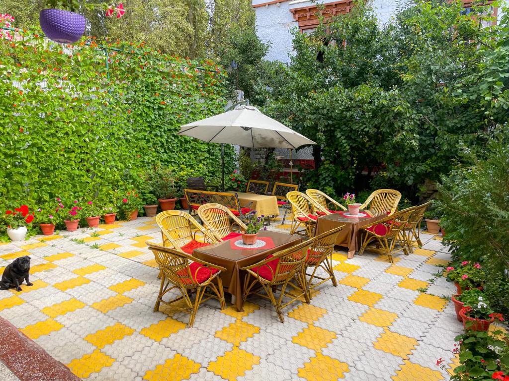 Zahrada ubytování Hotel shaynam