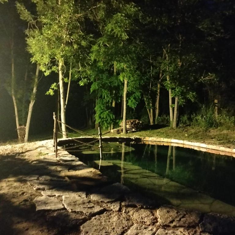 Příroda nedaleko farmy