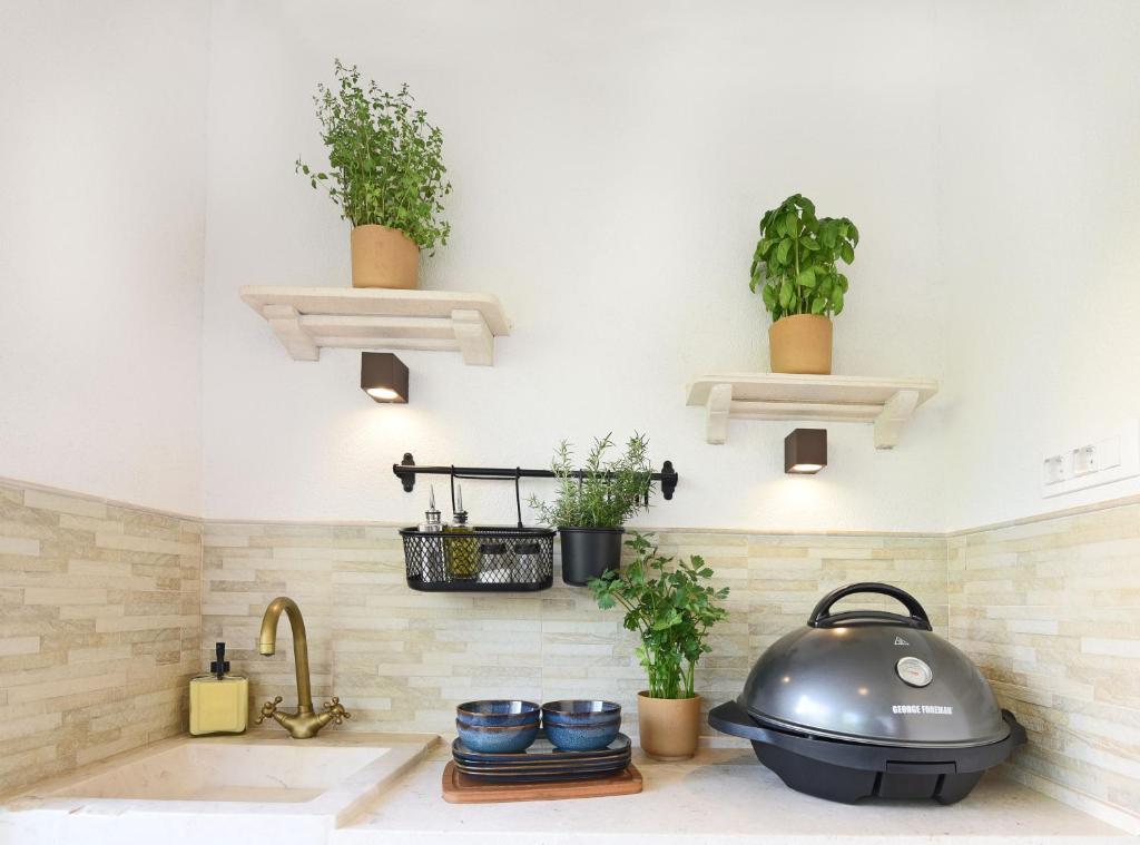 a kitchen sink with a pot and plants on the wall at Apartment Ivana in Roč
