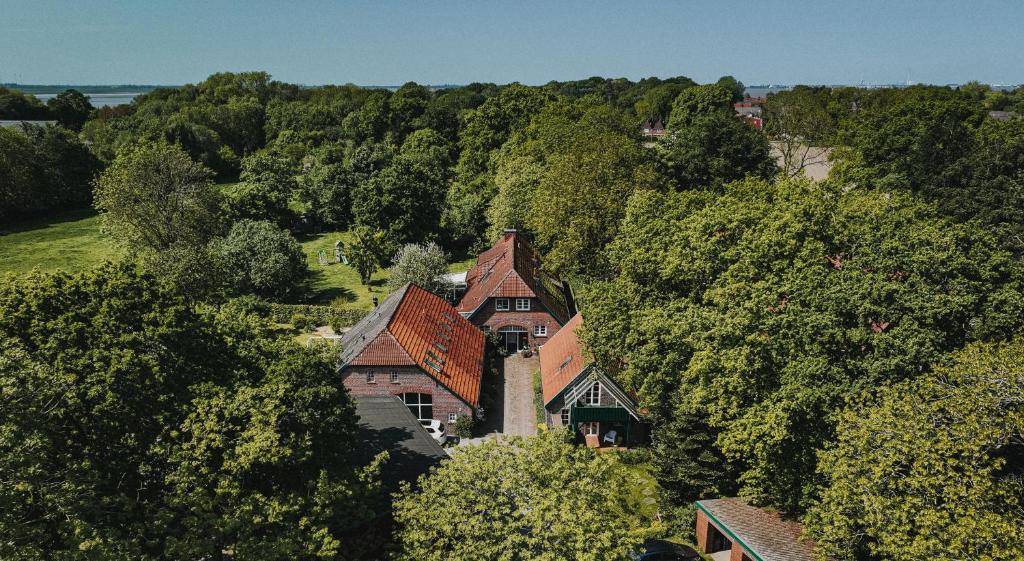 una vista aérea de una casa en los árboles en Ferienhaus Saustall - Deichhof Dangast, en Dangast