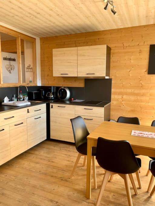 Kuchyň nebo kuchyňský kout v ubytování Appart style chalet superbe vue, SKI VIP remise 20 %