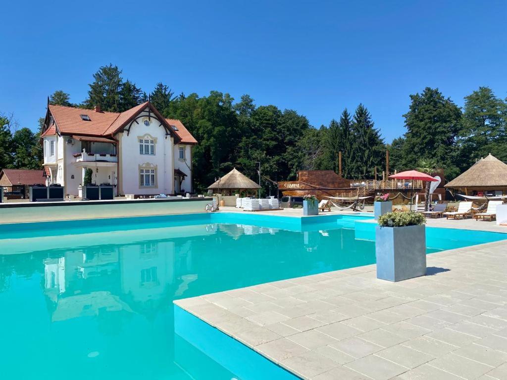 a large swimming pool in front of a house at Vila Rozalia Garden Gate in Avrig