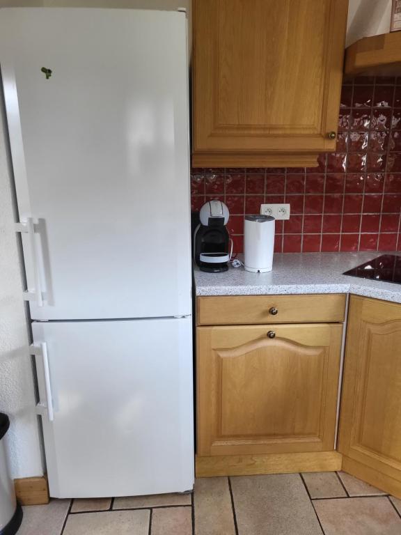 a kitchen with a white refrigerator and wooden cabinets at La petite Anfiane in Le Grand-Bornand