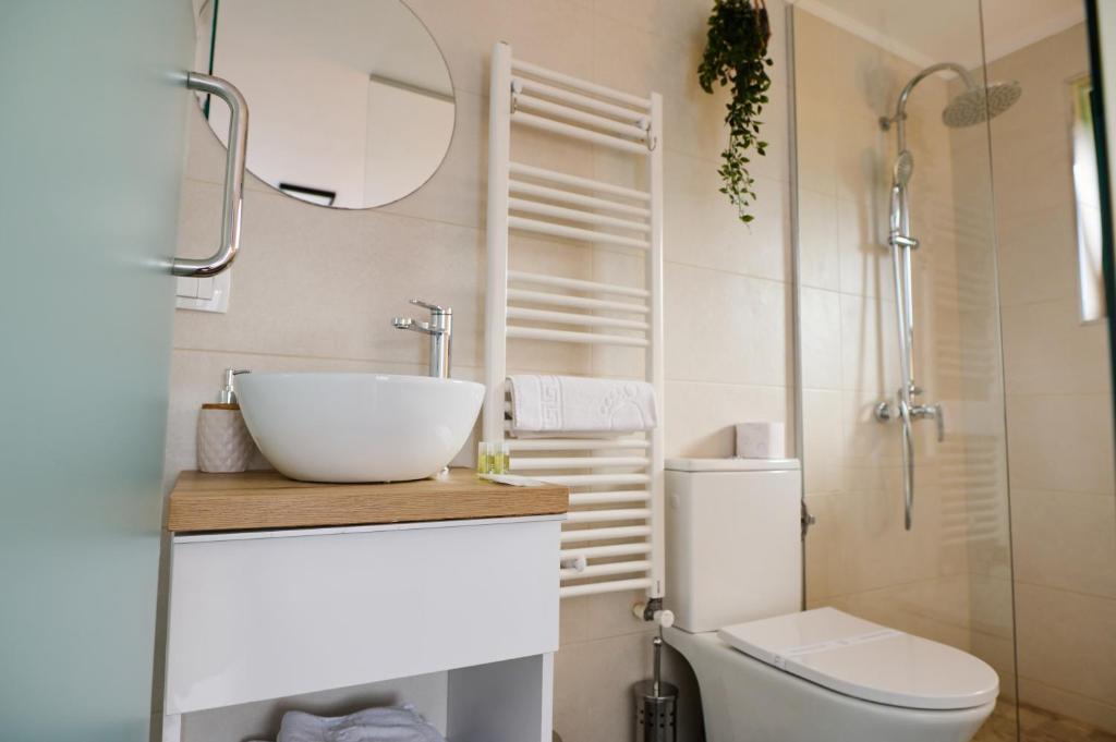 een badkamer met een wastafel, een toilet en een spiegel bij RDT Guest House-Rai din Transilvania in Moieciu de Jos