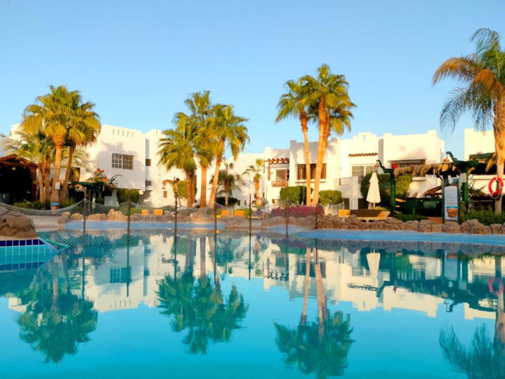 een zwembad met palmbomen en gebouwen op de achtergrond bij The Pearl of Sharm @ Delta in Sharm El Sheikh
