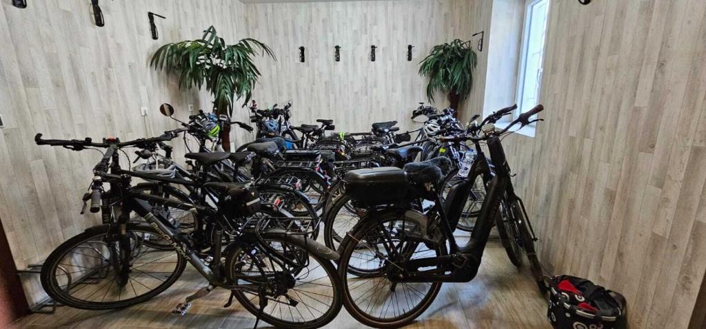 Hotelbetriebe Güldenhaupt GmbH - 8