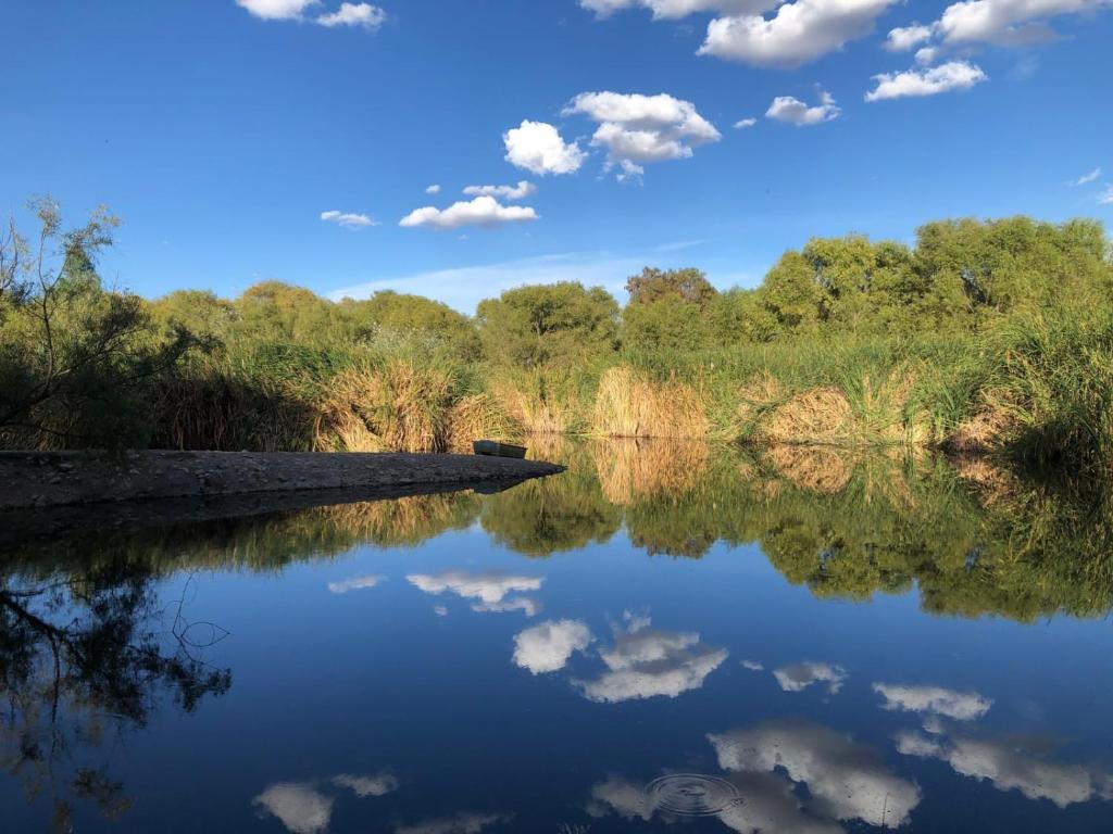 a river with reflections of clouds in the water at Cabañas Hacienda Ridvan in Aguascalientes
