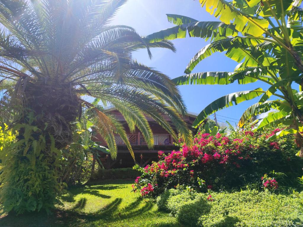 Zahrada ubytování Gîte 4 étoiles, la Vieille Sucrerie St Claude Guadeloupe, Jacuzzi Spa privatif, vue exceptionnelle sur la mer des Caraïbes