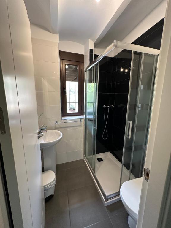 a bathroom with a shower and a toilet and a sink at Alojamientos Peña del Rey in Cazorla