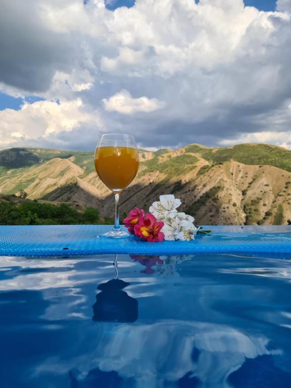 a glass of wine sitting on the edge of a swimming pool at NorDar in Garni