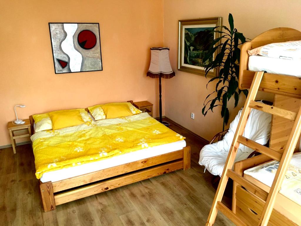 a bedroom with two bunk beds and a ladder at Apartmán Flora in Olomouc