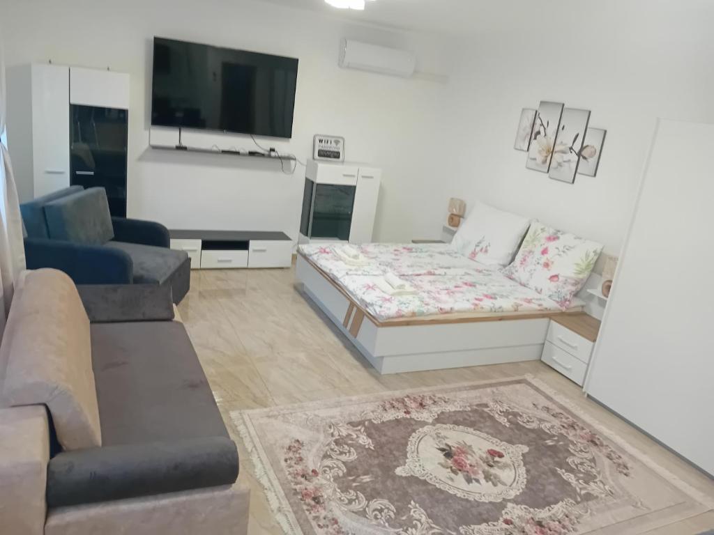 ein Wohnzimmer mit einem Sofa und einem TV in der Unterkunft Hangjegy Apartman in Debrecen
