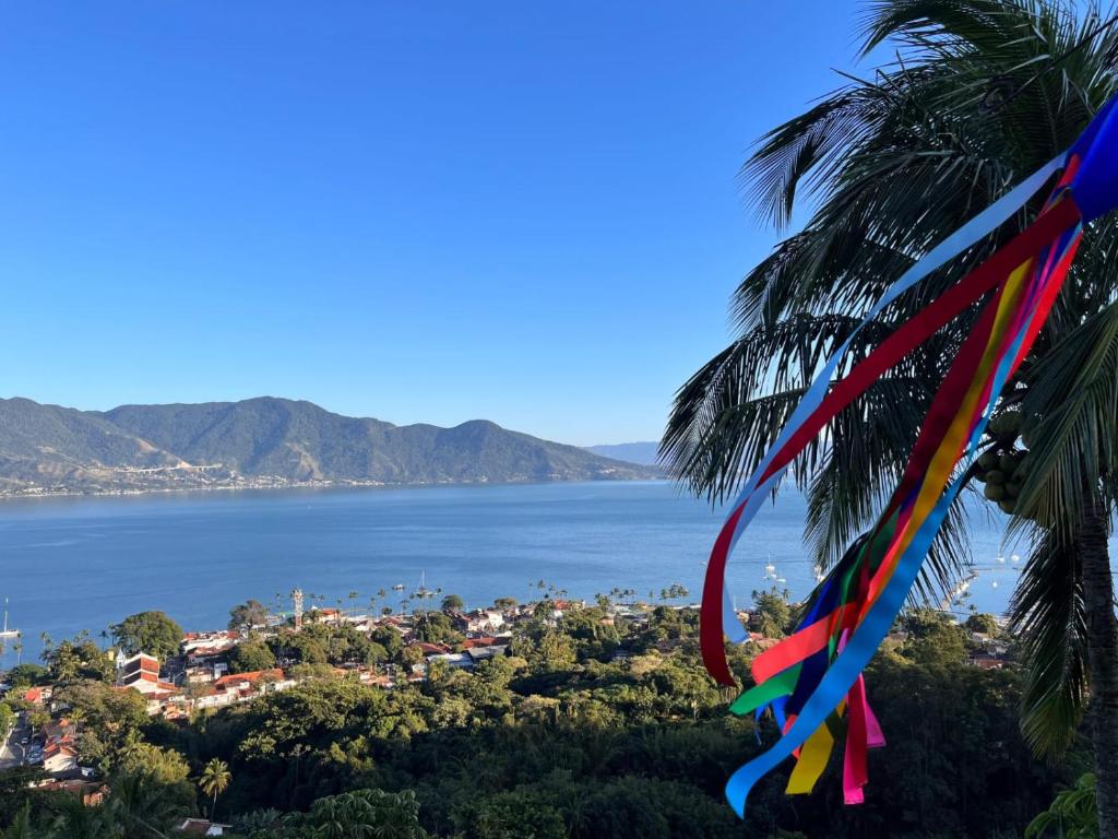 eine Palme mit einem Drachen vor dem Wasser in der Unterkunft Lar da Lara in Ilhabela