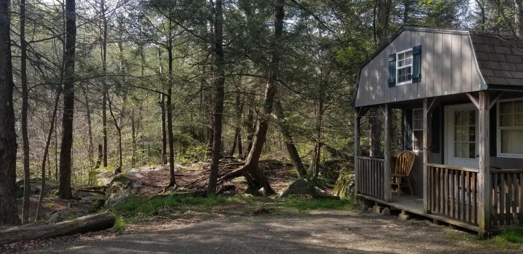 a tiny house in the woods at Abrams Creek Campground in Mount Storm