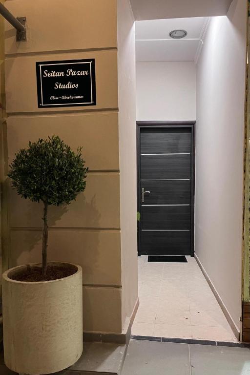 SEITAN PAZAR (Olive/Akrokeramos) - 1