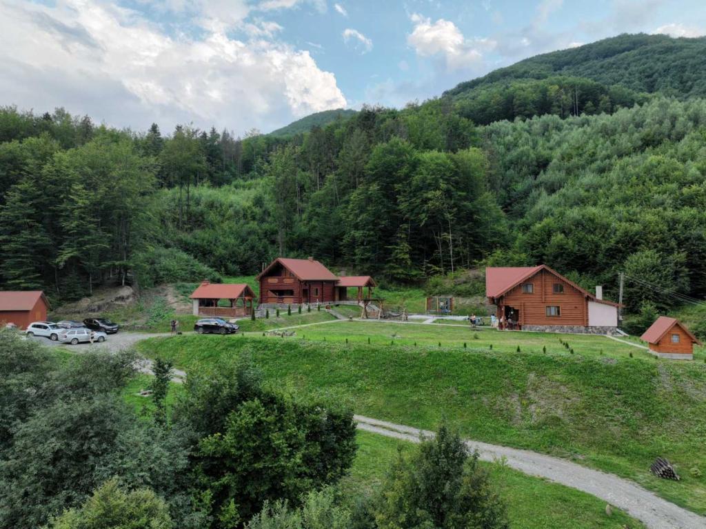 une maison sur une colline avec des voitures garées dans un champ dans l'établissement Садиба Припір, à Abranka