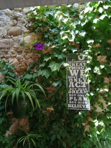 un panneau sur le côté d'un mur avec des plantes dans l'établissement Maison d'Art' lette, à Saint-Féliu-dʼAvall