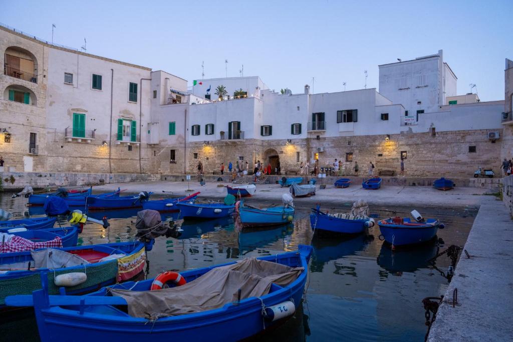 Iris Apartments - 17