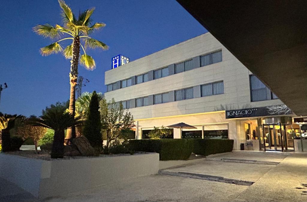 a building with a palm tree in front of it at Hotel Ignacio - PalomarGroup in Chiva