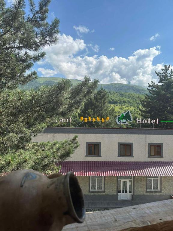 a view of a hotel with a building at Sochiner Hotel in Vanadzor