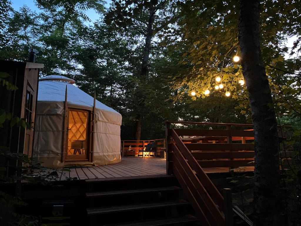 eine Jurte mit einer Terrasse im Wald in der Nacht in der Unterkunft Aux Étangs de Jourgnac - Yourte in Jourgnac