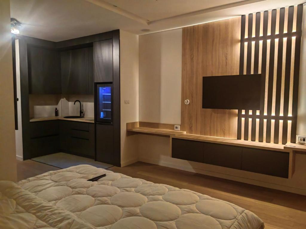 特雷比涅的住宿－Apartman Herc，一间卧室配有一张床和一台平面电视