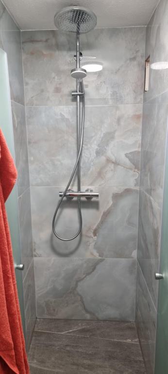 a shower with a shower head in a bathroom at Ferienwohnung am Kirchberg in Ettenheim