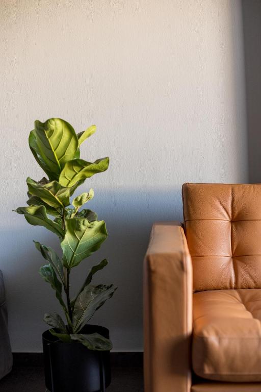 THE URBANIST •inner city residences• - Resim 40