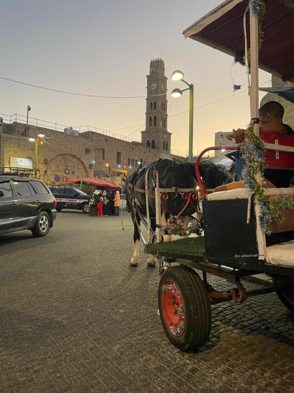 a horse pulling a cart on a city street at Hebi house in ‘Akko