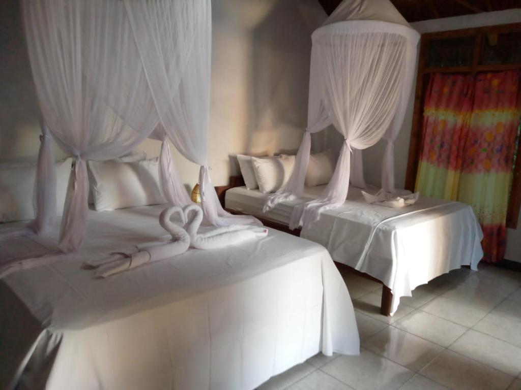 2 camas en una habitación con cortinas blancas en Cassabonelly, en Maumere