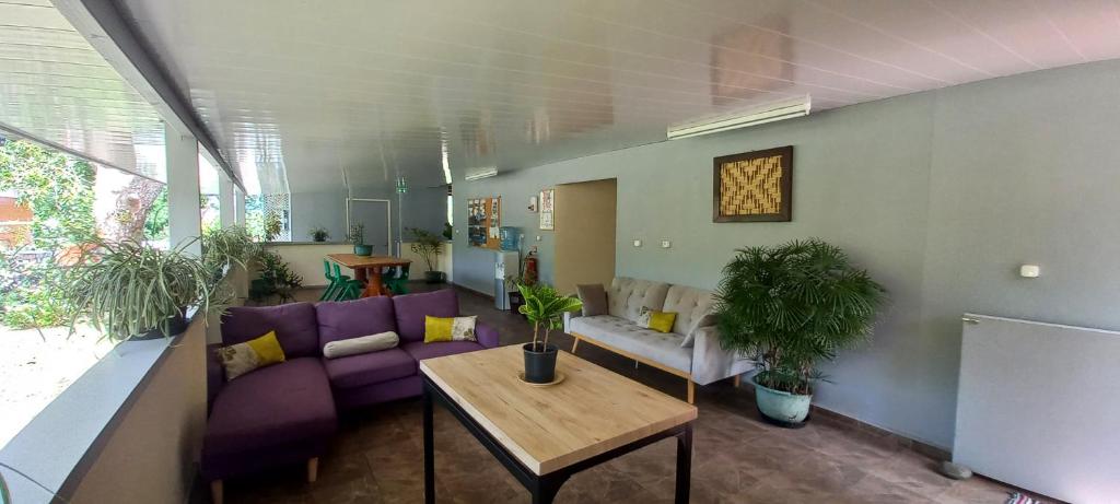 una sala de estar con sofás morados y una mesa. en PENSION TOKA EVA en Nuku Hiva