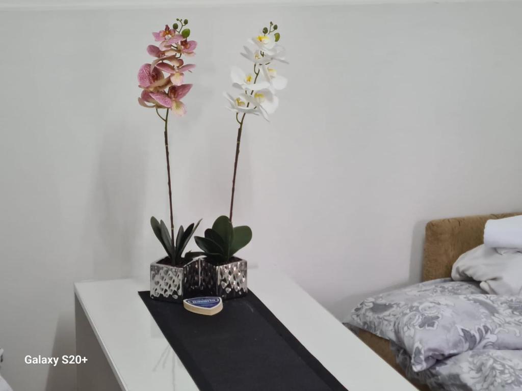 Postel nebo postele na pokoji v ubytování Kod nane Cane