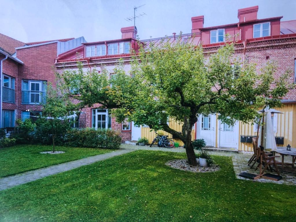 a tree in a yard in front of a building at Room, central location in Halmstad