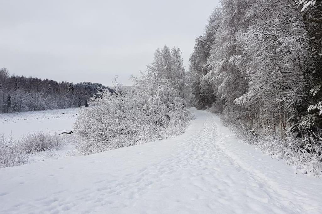 Cabin located in a traditionally Swedish setting! v zimě