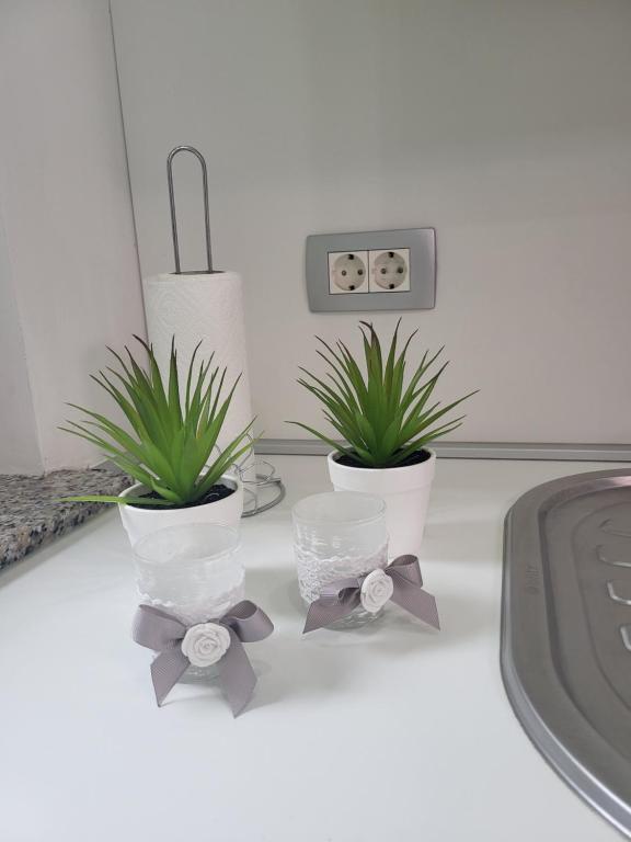 Fotografie z fotogalerie ubytování Green Garden House v destinaci Zreče
