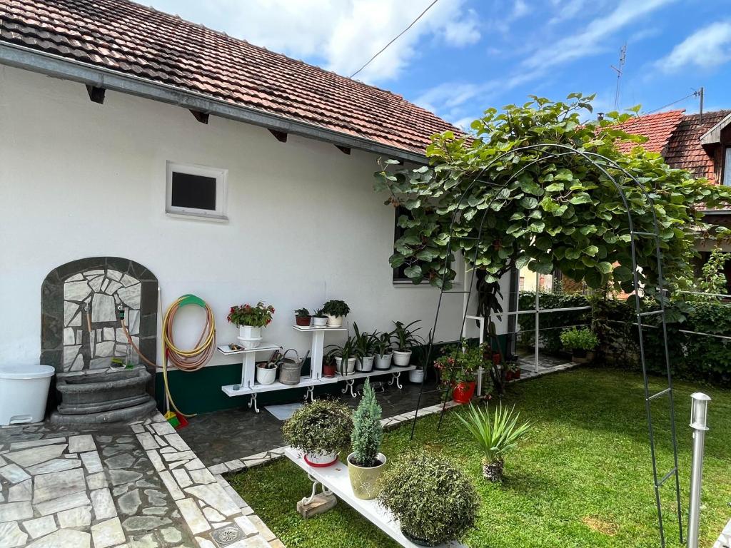 Zahrada ubytování Smeštaj Pejčić