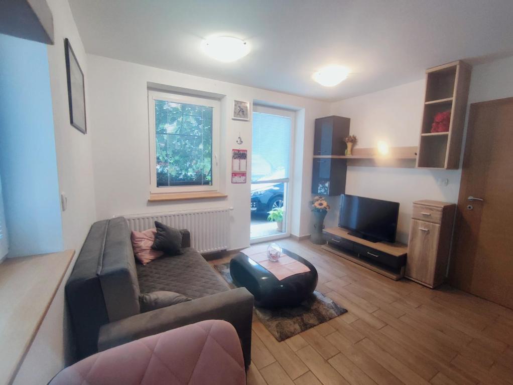 a living room with a couch and a television at Počitniško stanovanje Aurora in Bovec
