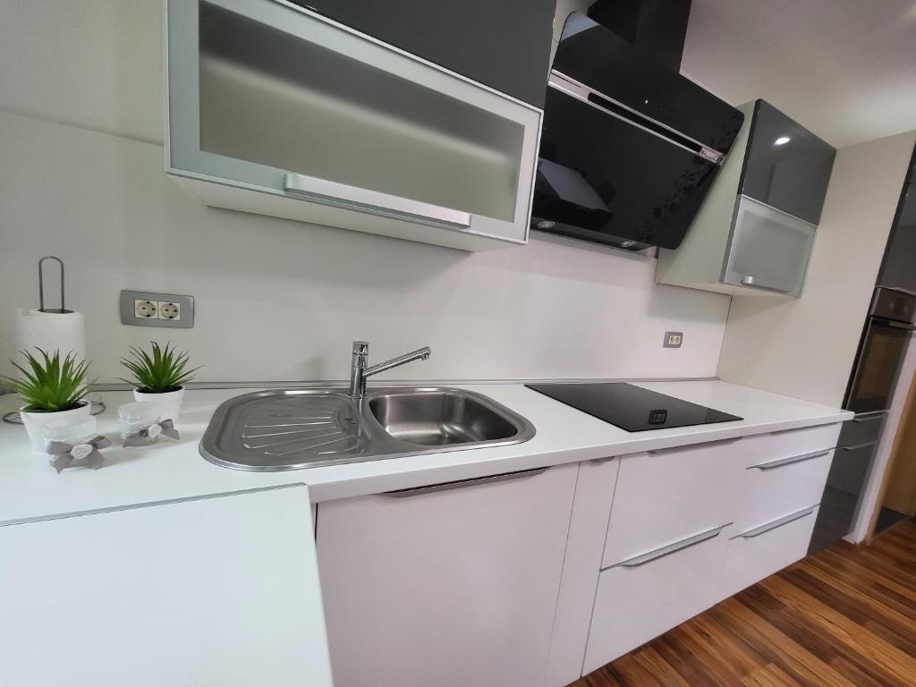 Kuchyň nebo kuchyňský kout v ubytování Green Garden House