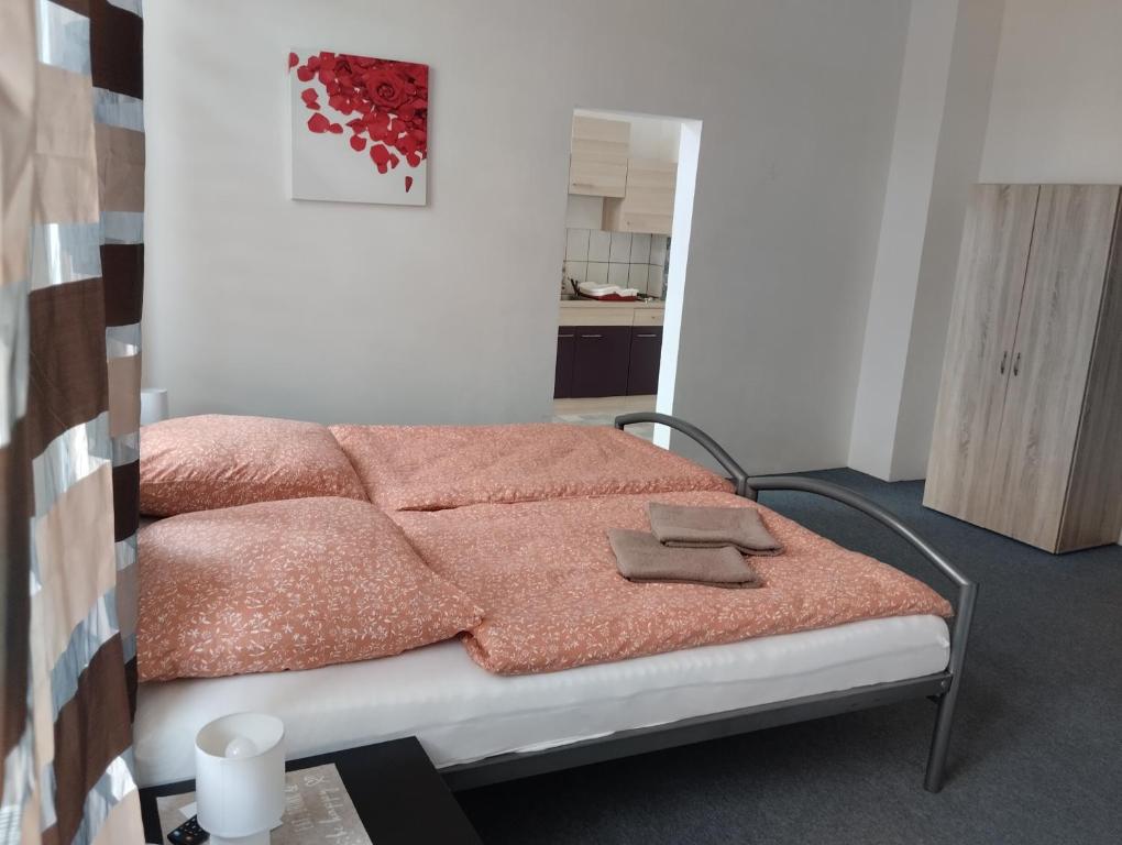 Pension Eberhart - Estudio Estándar