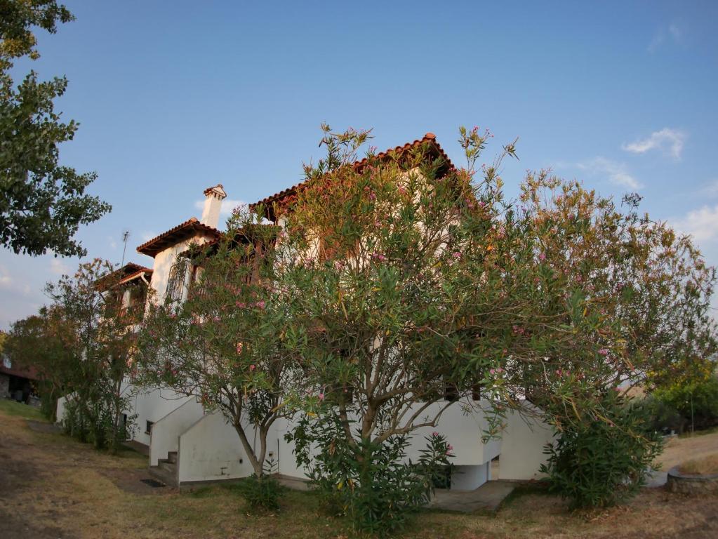 Zahrada ubytování Paradiso Apartments with sea view