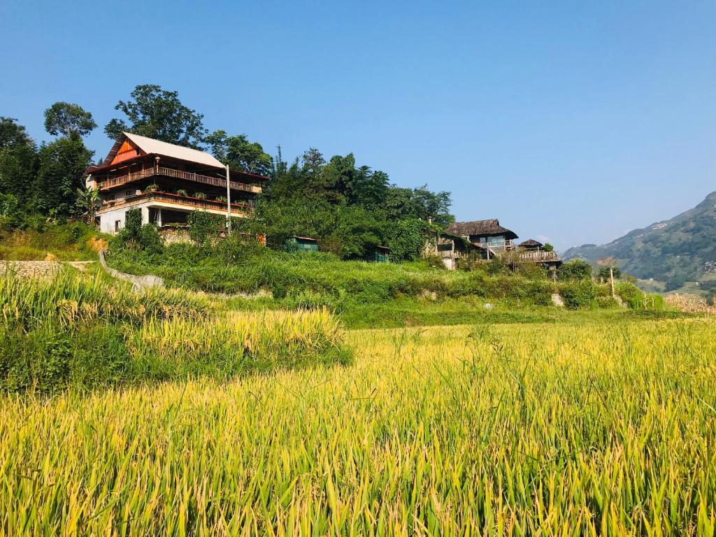 une maison sur une colline à côté d'un champ d'herbe dans l'établissement Sần's House, à Lào Cai