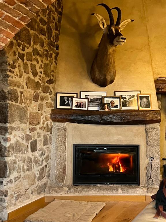 Fotografie z fotogalerie ubytování Can Maimes v destinaci Agullana