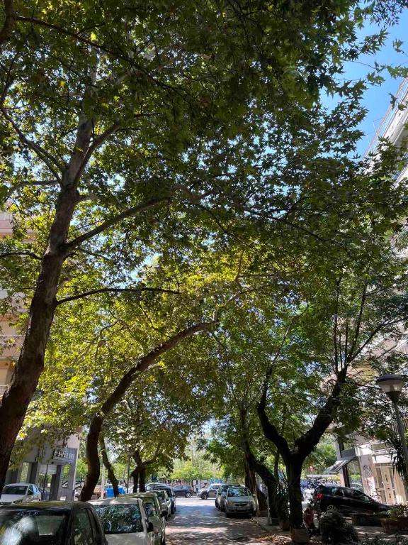 Chic & Cozy Apartment - 19