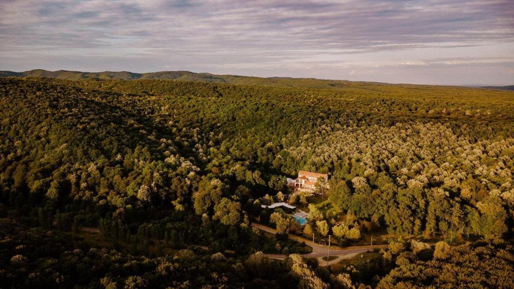 an aerial view of a house in the middle of a forest at Hotel McPietroasa in Haleş