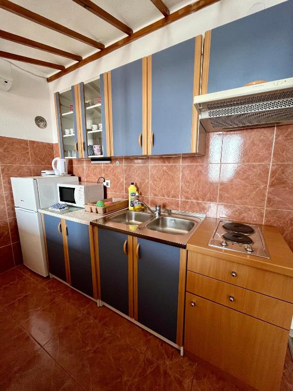 Kuchyň nebo kuchyňský kout v ubytování Apartments Aniko Šarić