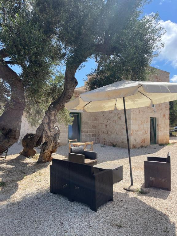 a patio with an umbrella and chairs under a tree at Lamia Millanta in Villanova di Ostuni