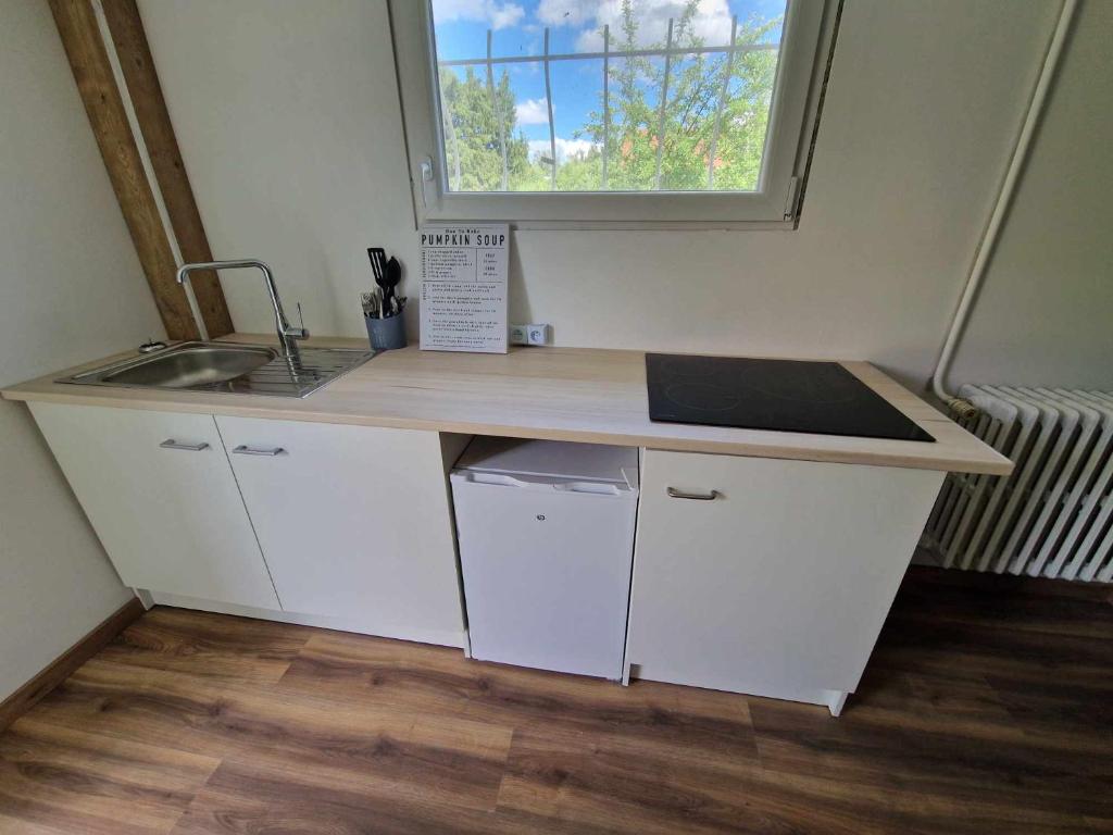 eine Küche mit einer Theke mit einem Waschbecken und einem Fenster in der Unterkunft Appartement avec terrasse in La Talaudière